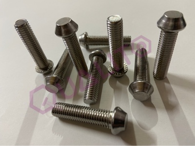 SS 202 Anti Theft Bolt M10X40