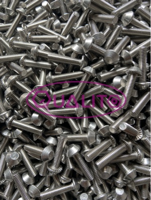 SS 304 Anti Theft Bolt M8X25