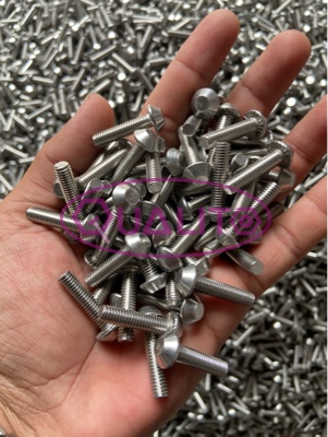SS 304 Anti Theft Bolt M6X25