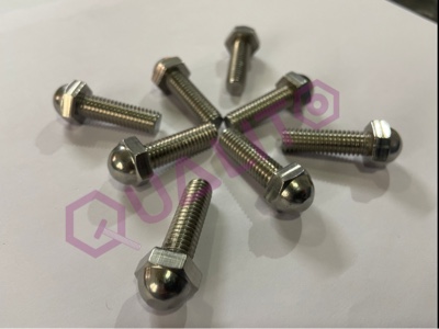 SS 304 Dome Bolt